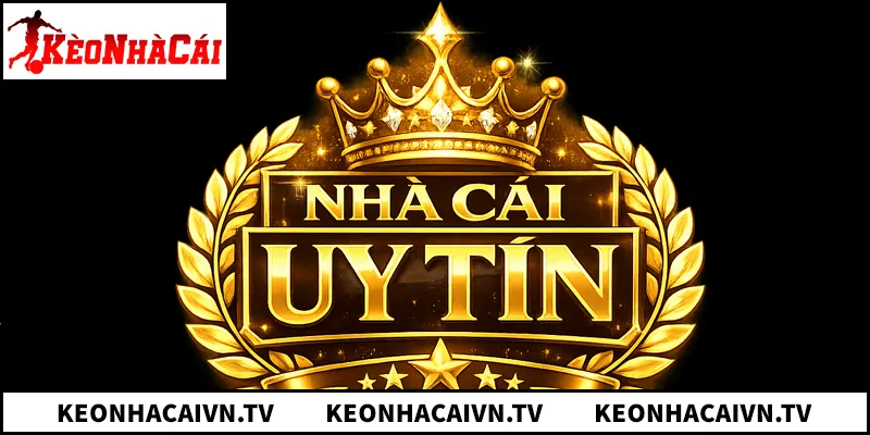 Bảng xếp hạng 10 nhà cái uy tín, trả thưởng cao năm 2026