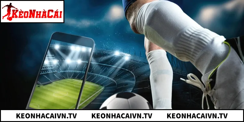 Bí quyết đọc vị tỷ lệ kèo và chiến thuật thắng nhà cái