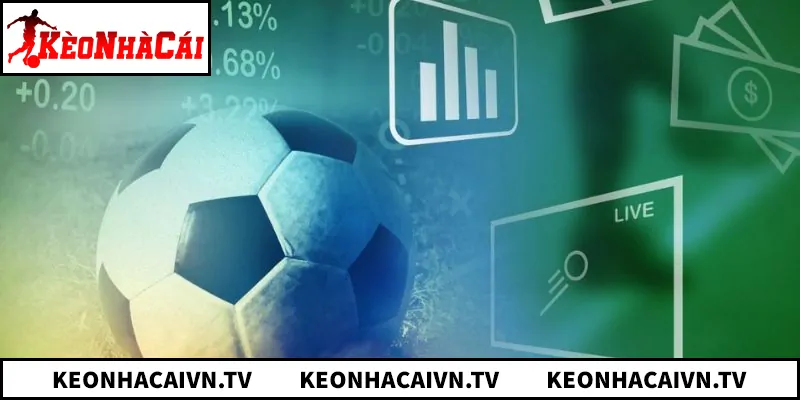 Kèo Tài Xỉu - 5 Cách Nhận Biết Cạm Bẫy Nhà Cái Để Thắng Lớn